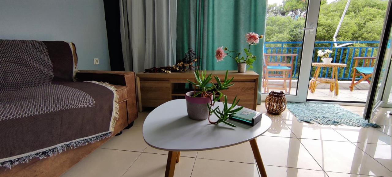 Hospitable Appartment In The Central Park, קסאנטי מראה חיצוני תמונה